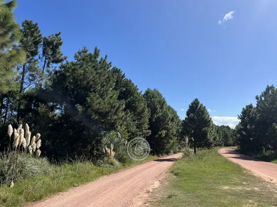 Terrenos En Zona Bosque, Varias Opciones En Punta Del Diablo