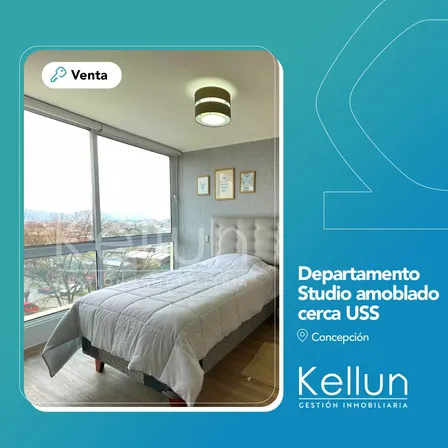 Studio Amoblado En Venta | A Pasos De Uss | Concepción