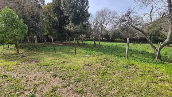 Gran Terreno Con Dos Casas Una De Dos Y Un Dormitorio,más Terreno Para Construir Varias Casas Más.