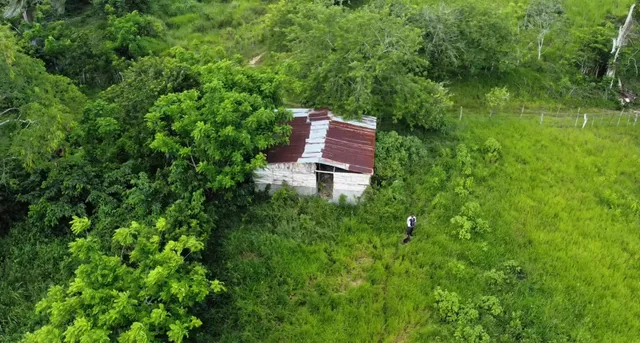 Finca Ganadera En Venta 106 Tareas