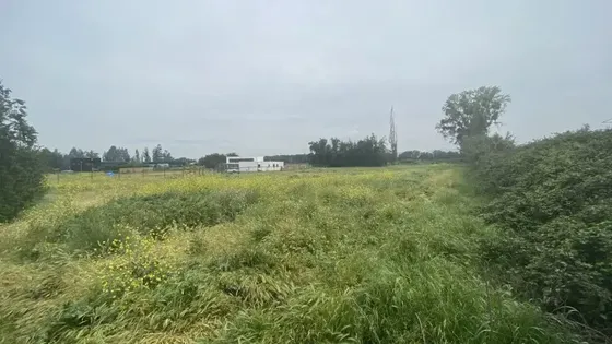 Parcela En Venta En Sector Carampangue, Talagante