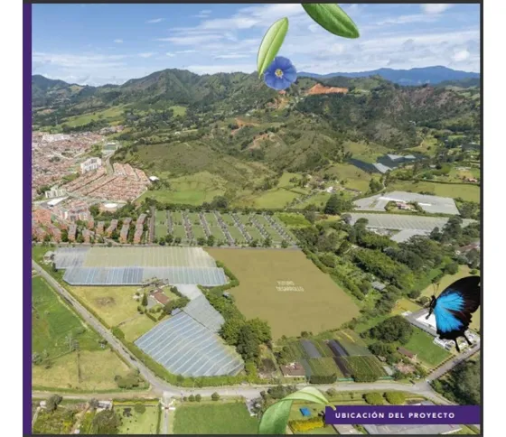 Lote En Unidad Abierta La Ceja Antioquia
