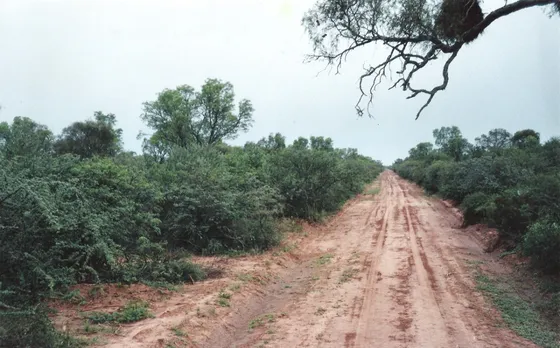 Campo Con Monte Sobre Ruta 89