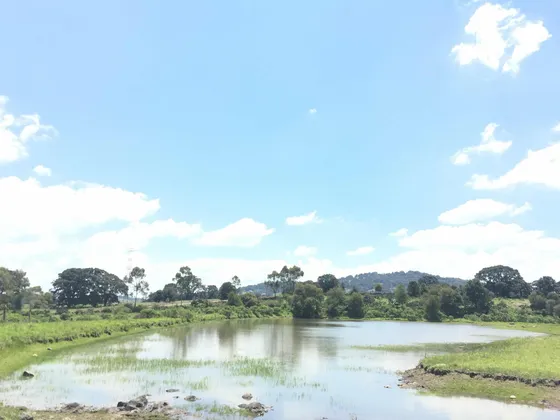 Terreno 17,000m2 Residencial Campestre Todos Los Servicios