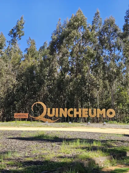 Extraordinaria Parcela 5.000 M2 Quincheumo - Pichilemu