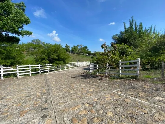 Venta Rancho 99 Hectareas Ocotepec Tihuatlan Veracruz