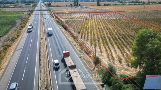 Sitio Borde De Carretera 21.000 M2