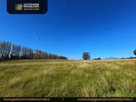 Orillas Del Lago Llanquihue, Puerto Octay (143168)