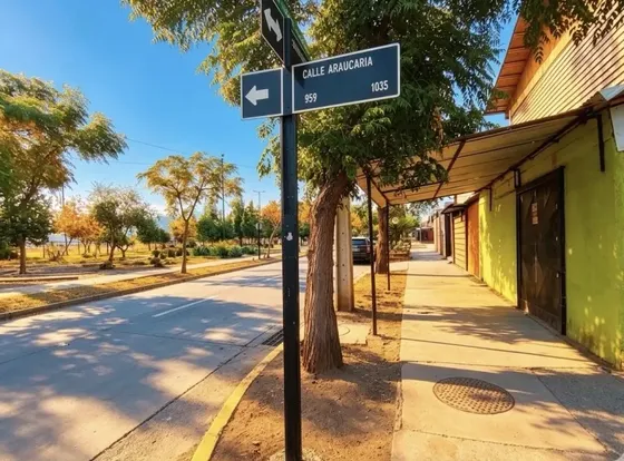  ¡oportunidad Única Para Tu Negocio En Colina! 