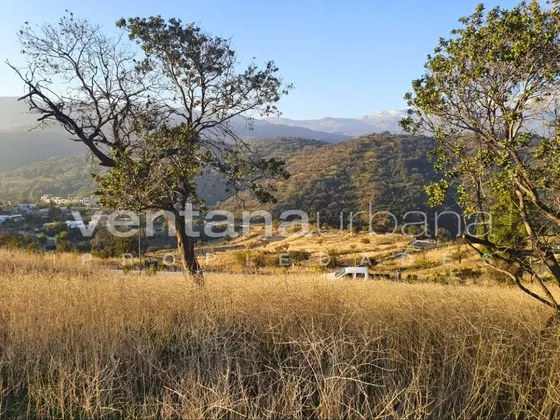 Cam. Real/pie Andino C_422849