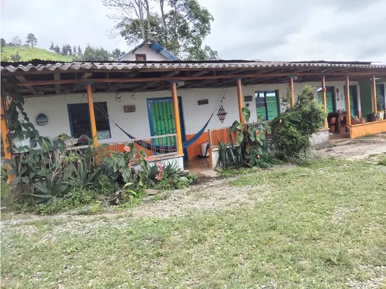 Se Vende Finca En Cordoba - Quindío