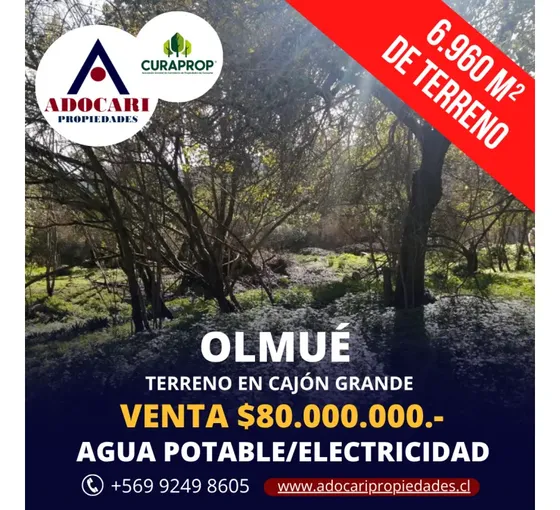 Olmue - Granizo - Parcela A Orilla De Calle Ppal
