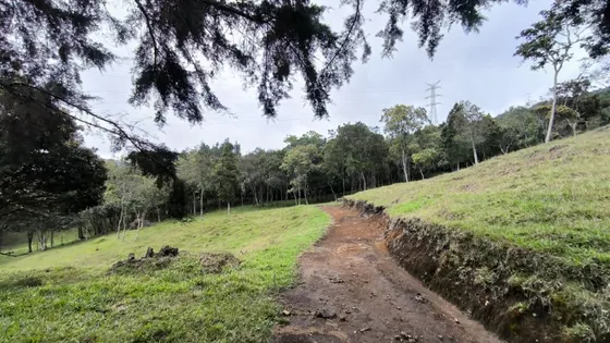  Lote En Venta Ubicado En Santa Elena Sector Vereda La Honda (27014).