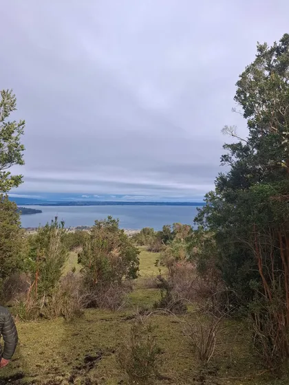 Mantilhue Alto, Rio Bueno, Region De Los Ríos (172570)