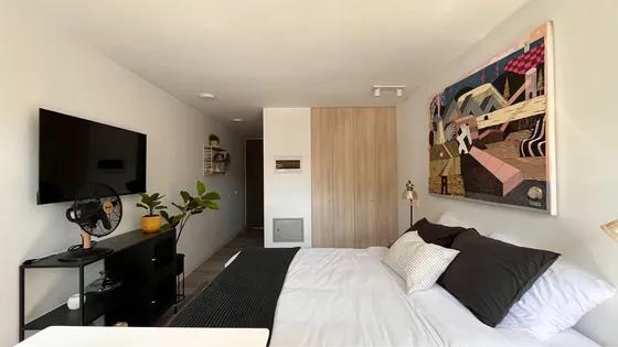 Sargento Aldea 582 - Departamento Studio, Santiago