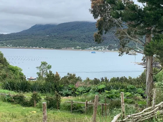 Hualaihué 0,8ha Orilla Mar
