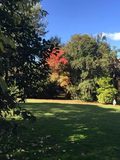 Quinta Para Eventos Durante El Dia  En El Talar  - Pacheco