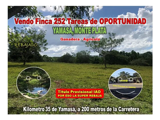 Vendo Finca De 252 Tareas En El 35 De Yamasa, Super Rebajada