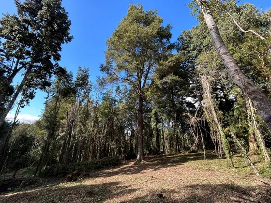 Parcela En Exclusivo Loteo Mirador De Valdivia