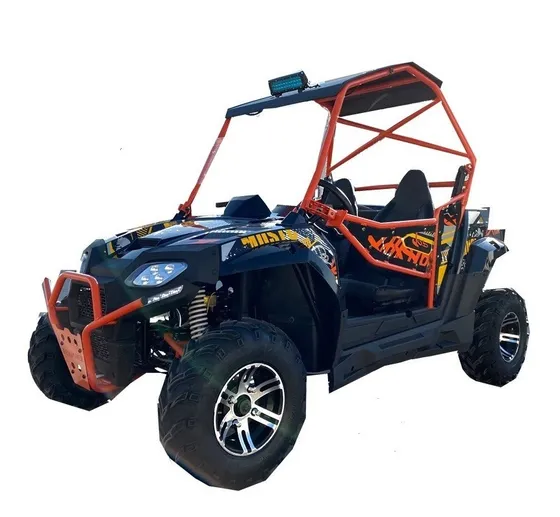 Tipo Raizer 200cc Utv Buggy Todoterreno Adulto Nuevo.