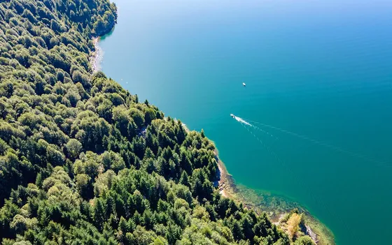 Espectacular Terreno De 63.000m2 (6,3ha) En Lago Verde
