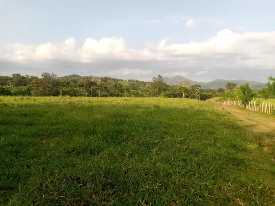 Vendo Esta Hermosa Finca 1700 Tareas En Cotui