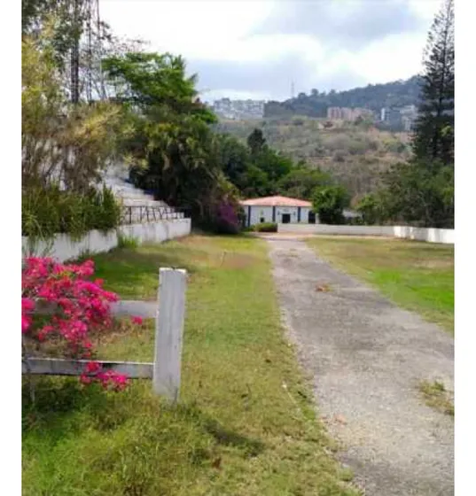 Se Vende Terreno 15769m2 Macaracuay 7898