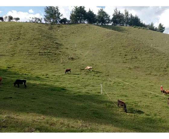Lote En Venta En Nueva Parcelación En El Retiro, Sector El Chuscal