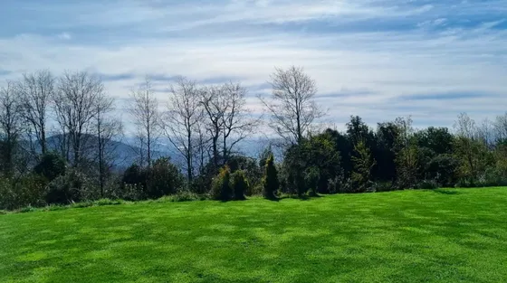 Terreno 110 Has En Venta En Gorbea