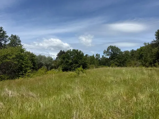 Venta Terreno Camino Villarrica A Pucón 7,8 Hectareas