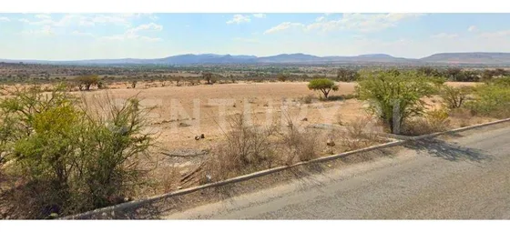 Venta De Terreno Rustico  Buena Vista  San Felipe, Gto.