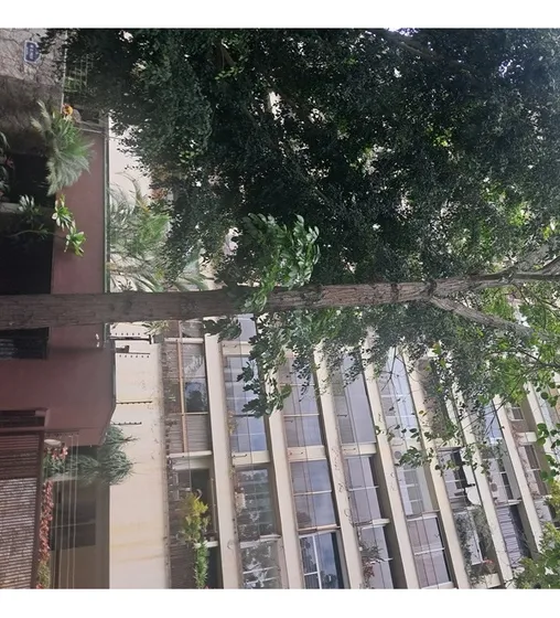 Los Naranjos Del Cafetal Avda Ppal Excelente Vista