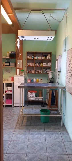 Fondo De Comercio  En Venta En San Martin De Los Andes, Patagonia, Argentina