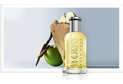 Cantimplora verde hugo boss new arrivals