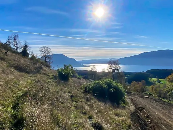 Sitio 5.000 M2 Venta En Lago Riñihue, Los Ríos