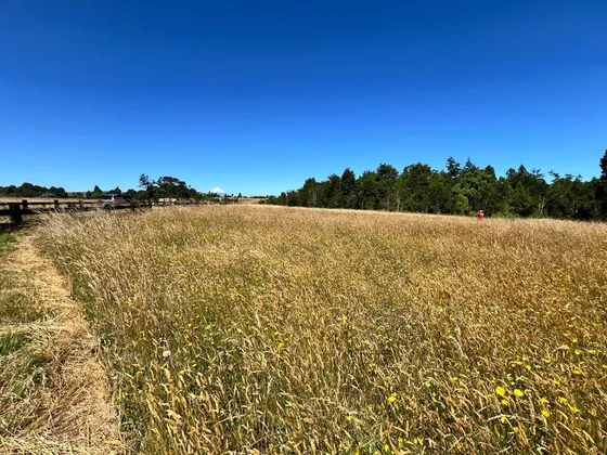 Se Vende Parcela En Llanquihue