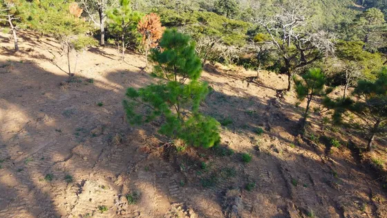 Venta De Terreno En San Gabriel