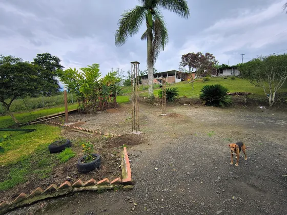Vendo Finca En Ginebra - Valle