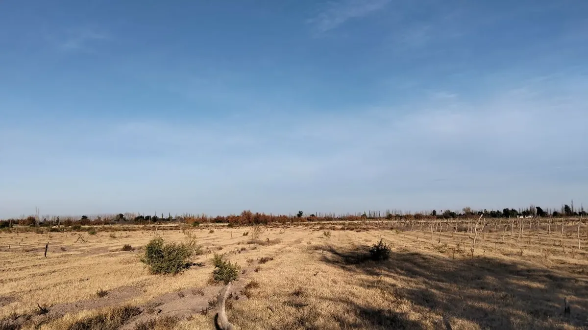 Farm for Sale in Real del Padre, San Rafael, Mendoza