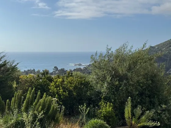 Sitio Con Vista Panorámica A Zapallar 