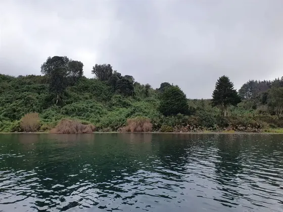 Parcela En Venta En Frutillar