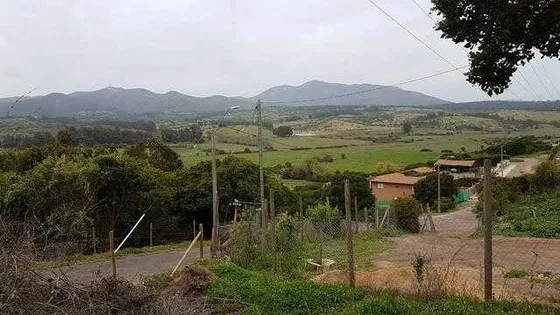 Campo Mar 4, Sólo Al Contado