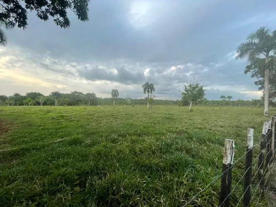 For Sale Finca Ganadera En Bayaguana De 855 Tareas Con Titulo 