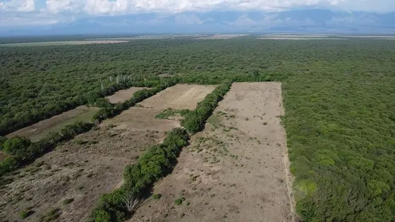Campo De 13 Hectareas En Venta En Conlara,,traslasierra!!