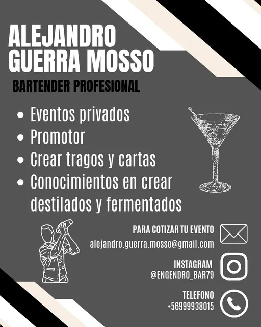 Bartender Profesional
