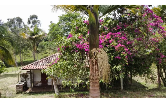 Casa Finca Campestre En Venta Carmen De Viboral 3, 160 M2 Yt