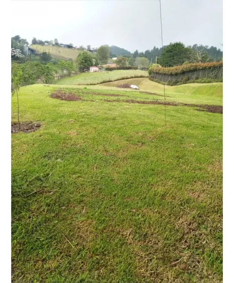 Lote En Alto De Palmas, Envigado