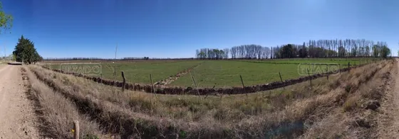 Terreno Campo  En Venta Ubicado En Cipolletti, Rio Negro