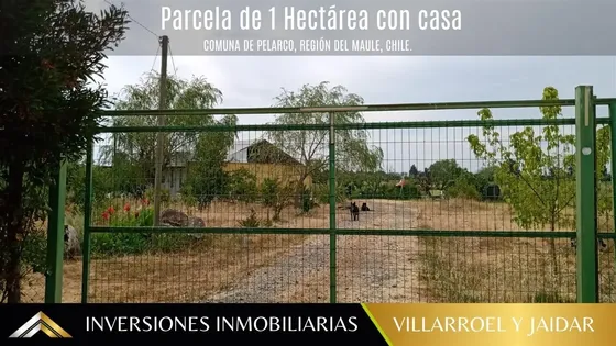 Parcela 1 Hectárea En Venta En Pelarco