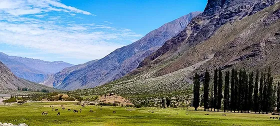Terreno Al Lado De Refugio Lo Valdes (166575)